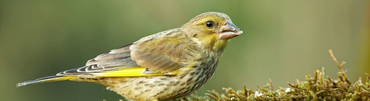 [paste advice page name here]